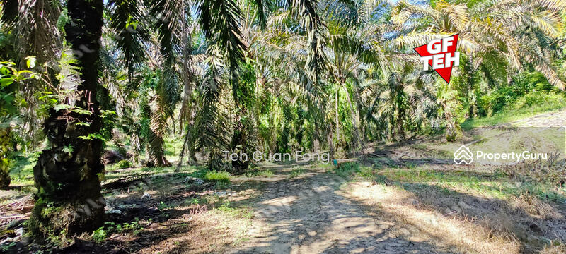 For Sale - 22.39 acre Agricultural Land (Hilly) | Junjong | Kulim | Kedah RM3.70 psf
