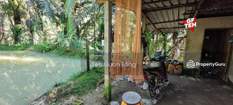 For Sale - 22.39 acre Agricultural Land (Hilly) | Junjong | Kulim | Kedah RM3.70 psf