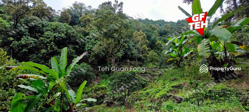 Agricultural Land for Sale in Balik Pulau Village Area (Balik Pulau) - Teh Guan Fong - PropertyGuru.com.my
