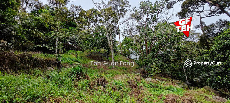 Agricultural Land for Sale in Balik Pulau Village Area (Balik Pulau) - Teh Guan Fong - PropertyGuru.com.my