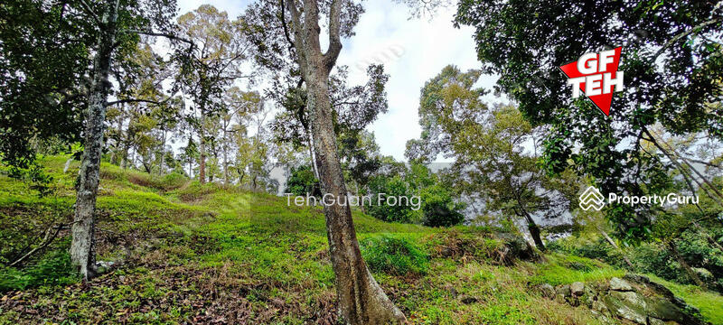 Agricultural Land for Sale in Balik Pulau Village Area (Balik Pulau) - Teh Guan Fong - PropertyGuru.com.my