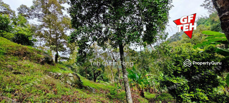 Agricultural Land for Sale in Balik Pulau Village Area (Balik Pulau) - Teh Guan Fong - PropertyGuru.com.my