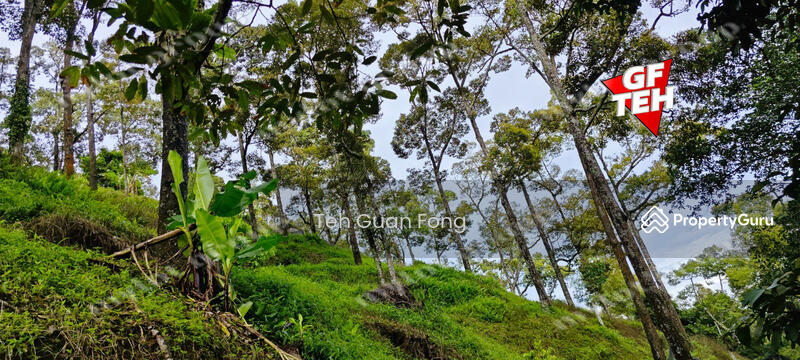 Agricultural Land for Sale in Balik Pulau Village Area (Balik Pulau) - Teh Guan Fong - PropertyGuru.com.my
