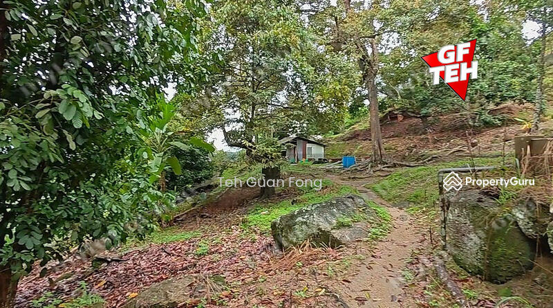 Agricultural Land for Sale in Balik Pulau Village Area (Balik Pulau) - Teh Guan Fong - PropertyGuru.com.my