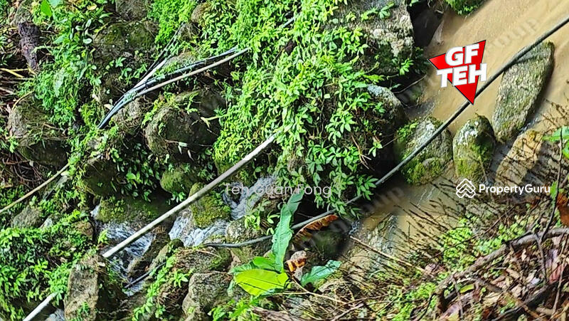 Agricultural Land for Sale in Balik Pulau Village Area (Balik Pulau) - Teh Guan Fong - PropertyGuru.com.my