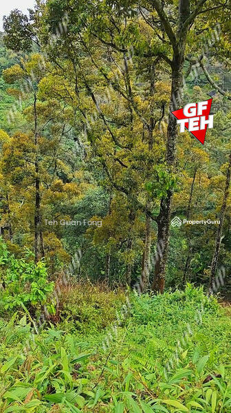 Agricultural Land for Sale in Balik Pulau Village Area (Balik Pulau) - Teh Guan Fong - PropertyGuru.com.my