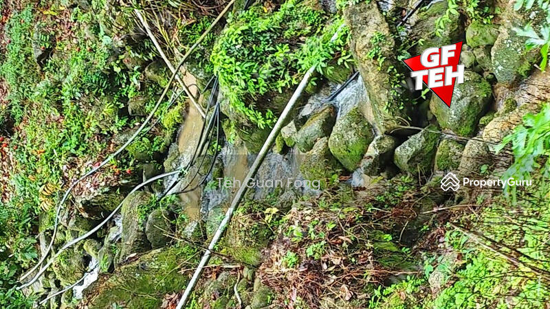 Agricultural Land for Sale in Balik Pulau Village Area (Balik Pulau) - Teh Guan Fong - PropertyGuru.com.my