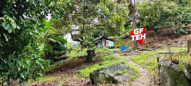 Agricultural Land for Sale in Balik Pulau Village Area (Balik Pulau) - Teh Guan Fong - Exterior - PropertyGuru.com.my