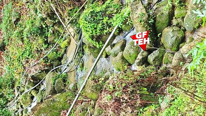 Agricultural Land for Sale in Balik Pulau Village Area (Balik Pulau) - Teh Guan Fong - PropertyGuru.com.my