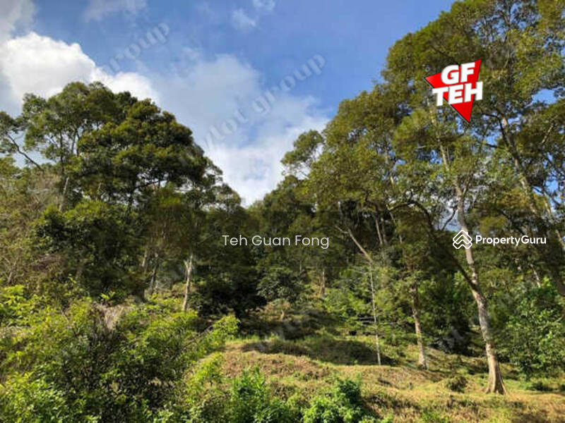 Agricultural Land for Sale in Balik Pulau Village Area (Balik Pulau) - Teh Guan Fong - PropertyGuru.com.my