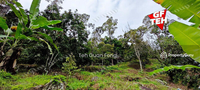 Agricultural Land for Sale in Balik Pulau Village Area (Balik Pulau) - Teh Guan Fong - PropertyGuru.com.my