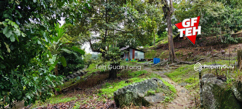 Agricultural Land for Sale in Balik Pulau Village Area (Balik Pulau) - Teh Guan Fong - PropertyGuru.com.my