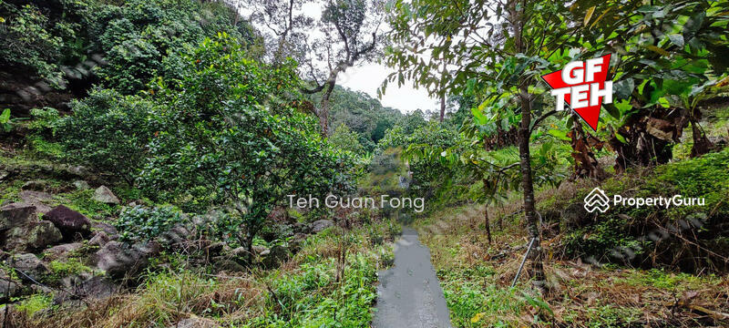 Agricultural Land for Sale in Balik Pulau Village Area (Balik Pulau) - Teh Guan Fong - PropertyGuru.com.my