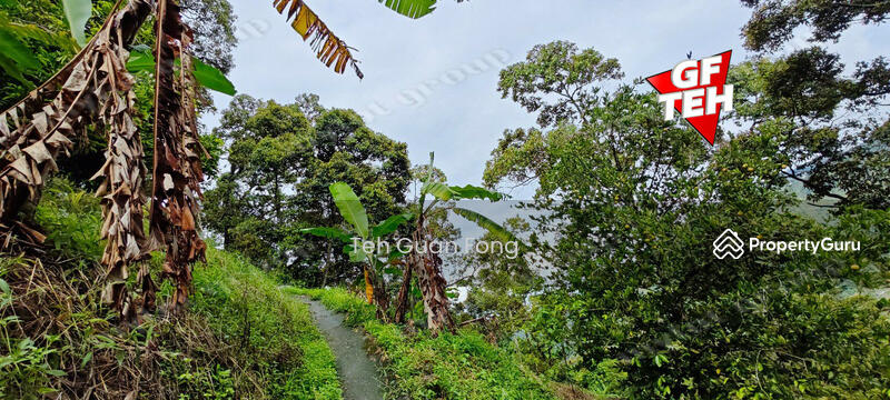Agricultural Land for Sale in Balik Pulau Village Area (Balik Pulau) - Teh Guan Fong - PropertyGuru.com.my