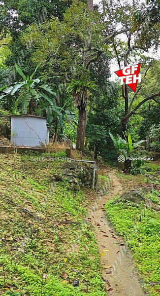 Agricultural Land for Sale in Balik Pulau Village Area (Balik Pulau) - Teh Guan Fong - PropertyGuru.com.my