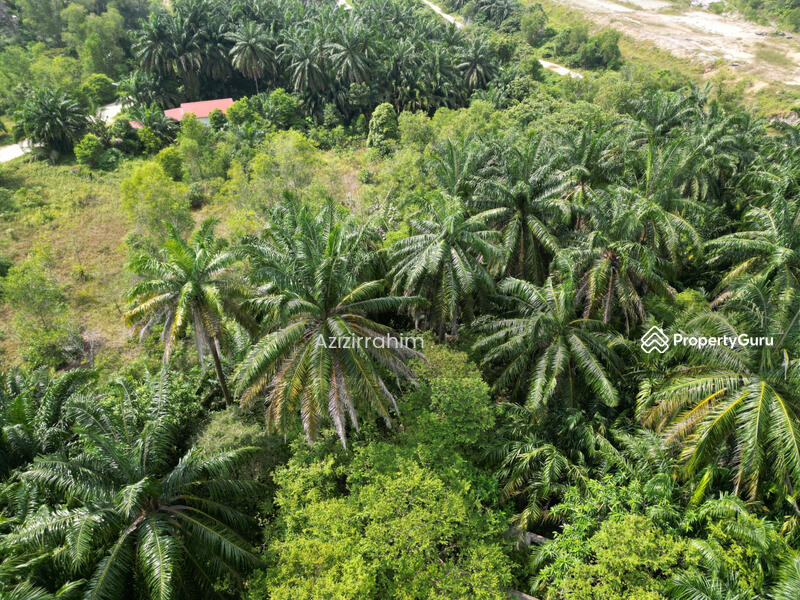 Untuk Dijual - Potential Land 1.764 Acre Bukit Damar near Mex Highway
