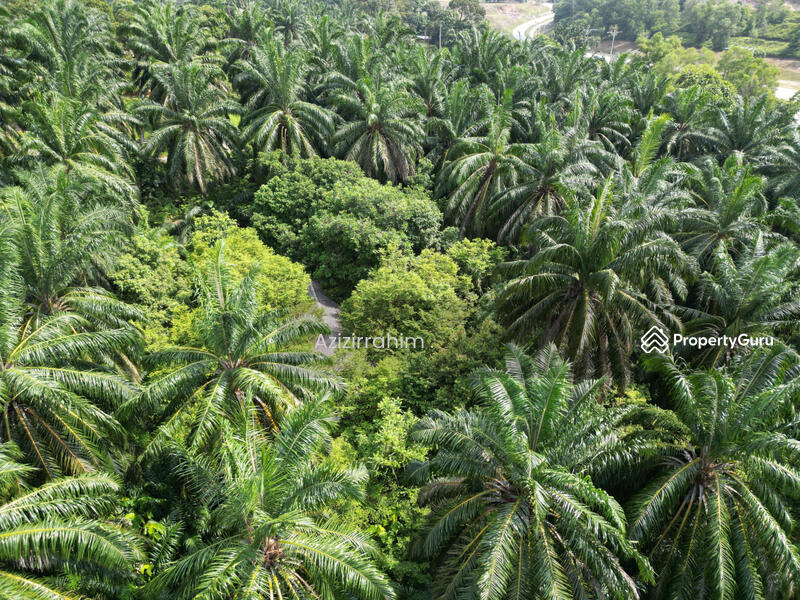 Untuk Dijual - Potential Land 1.764 Acre Bukit Damar near Mex Highway