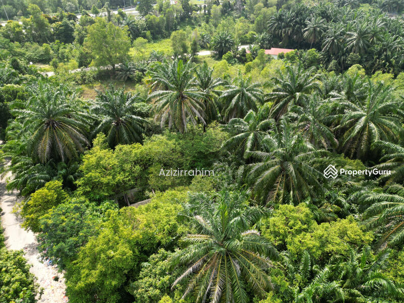 Untuk Dijual - Potential Land 1.764 Acre Bukit Damar near Mex Highway