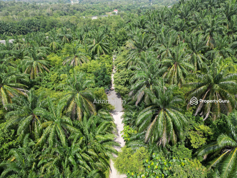 Untuk Dijual - Potential Land 1.764 Acre Bukit Damar near Mex Highway