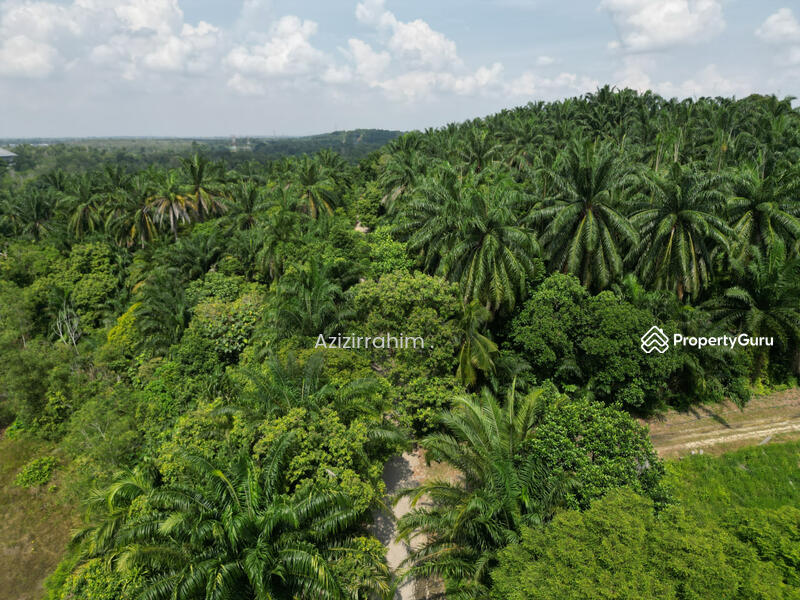 For Sale - Potential Land 2.66 Acre Bukit Damar near Mex Highway