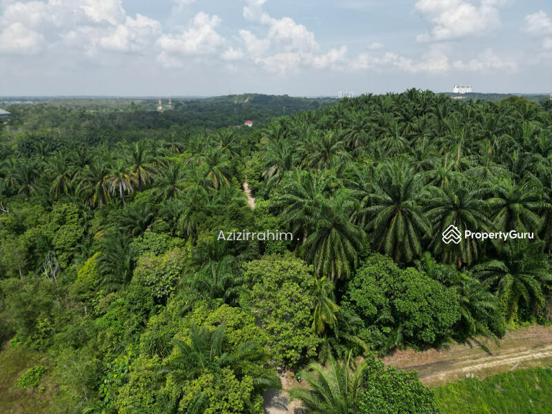 For Sale - Potential Land 2.66 Acre Bukit Damar near Mex Highway