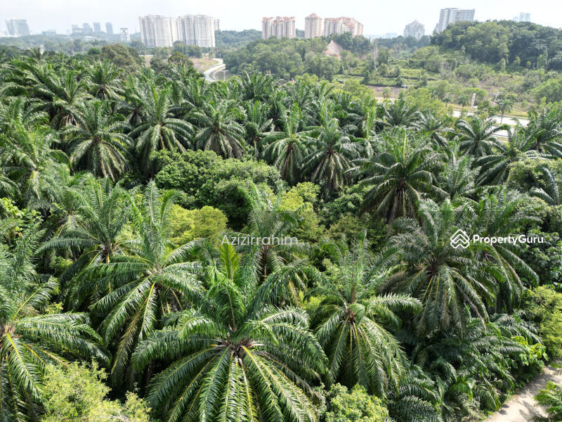 For Sale - Potential Land 2.66 Acre Bukit Damar near Mex Highway