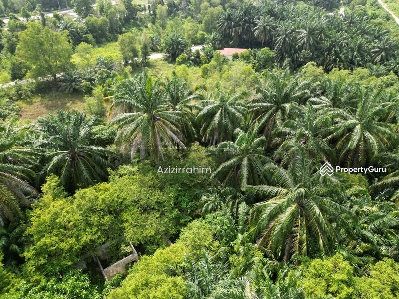 For Sale - Potential Land 2.66 Acre Bukit Damar near Mex Highway