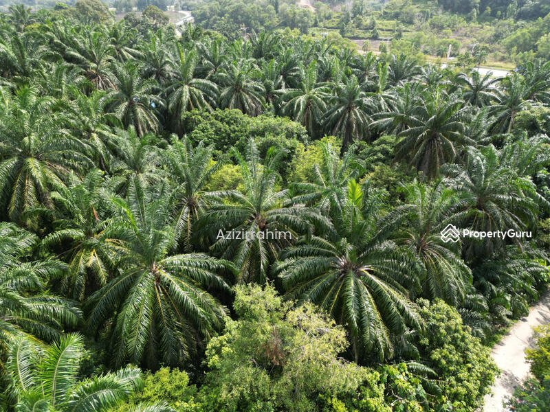 For Sale - Potential Land 2.66 Acre Bukit Damar near Mex Highway