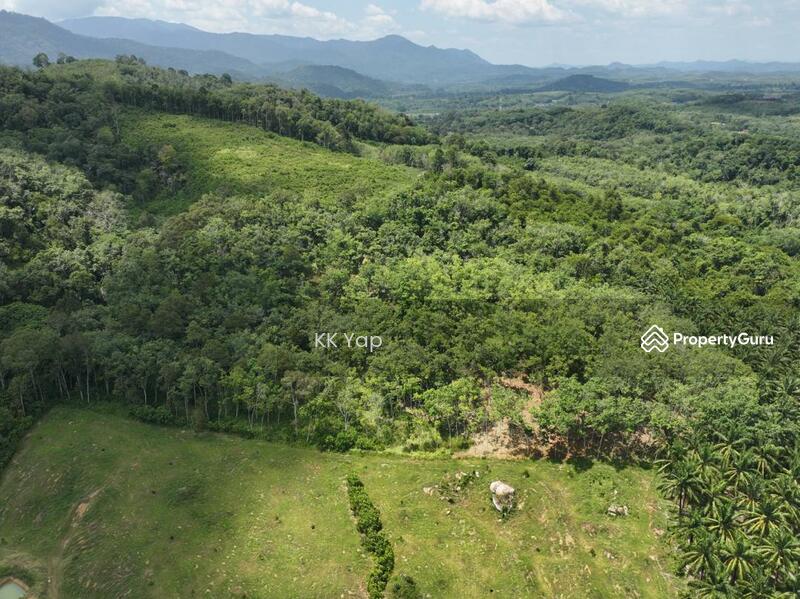 For Sale - Lenggong 10 acres Rubber Tree + Famous Durian Species Freehold Agriculture Land For Sale