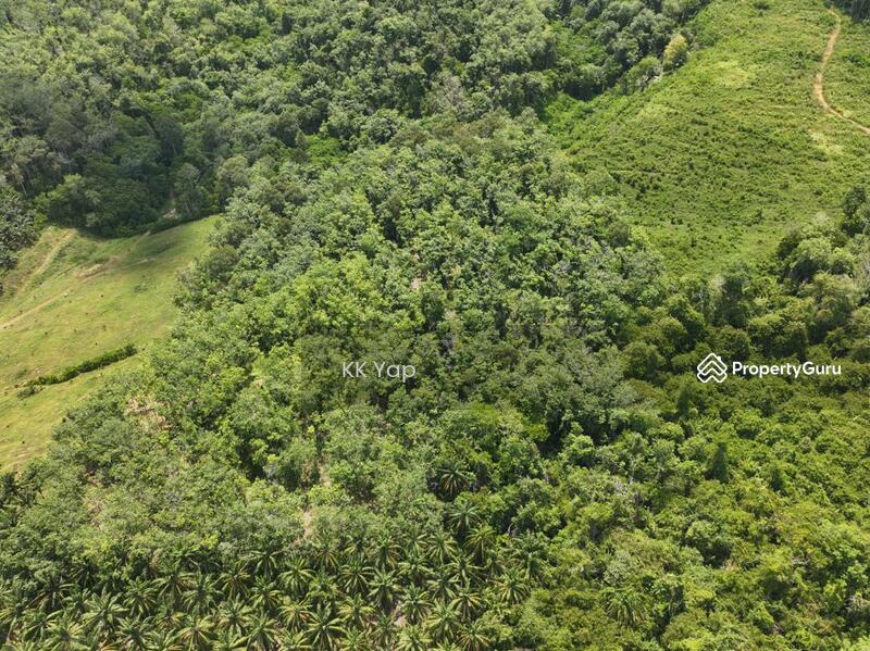For Sale - Lenggong 10 acres Rubber Tree + Famous Durian Species Freehold Agriculture Land For Sale