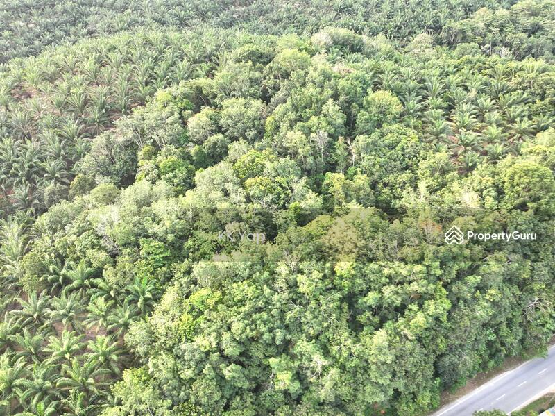 For Sale - Lasah Sungai Siput - Vacant Main Road Freehold Land