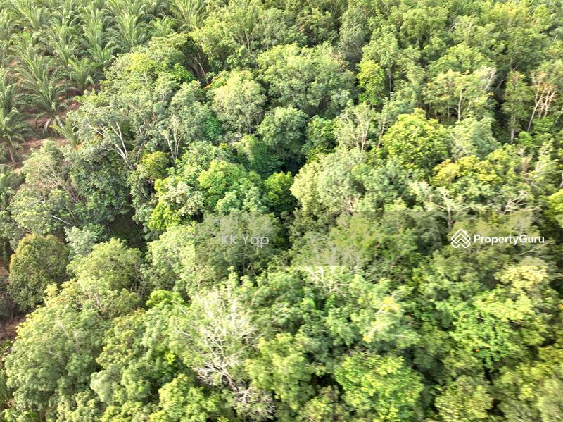 For Sale - Lasah Sungai Siput - Vacant Main Road Freehold Land