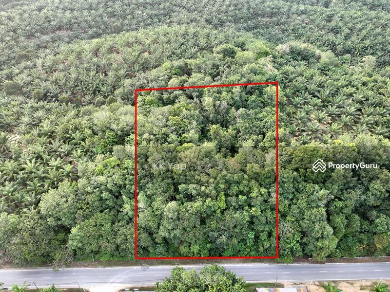 For Sale - Lasah Sungai Siput - Vacant Main Road Freehold Land
