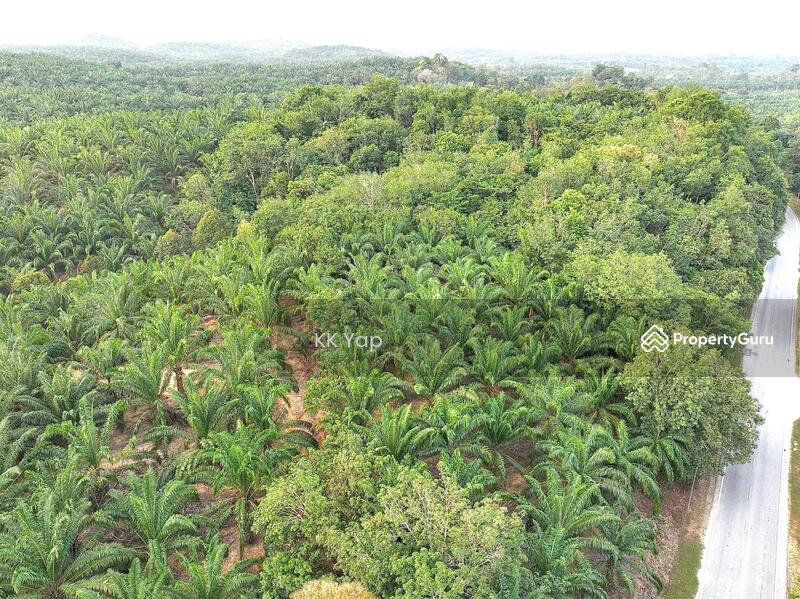 For Sale - Lasah Sungai Siput - Vacant Main Road Freehold Land