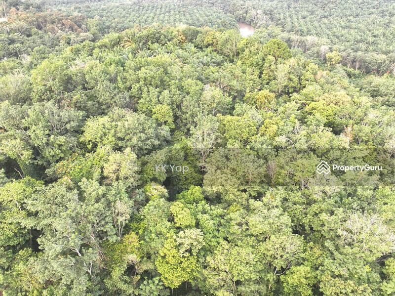 For Sale - Lasah Sungai Siput - Vacant Main Road Freehold Land