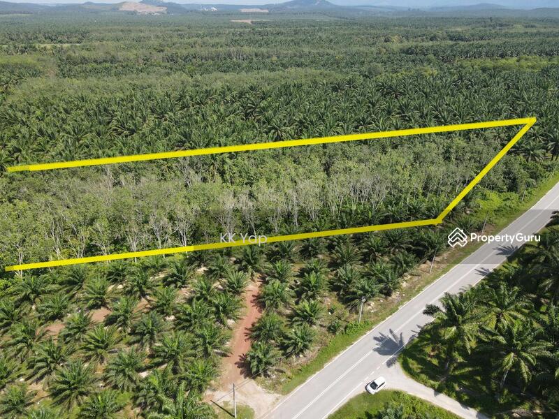 Untuk Dijual - Right Beside The Main Road - Agriculture Land For Sale