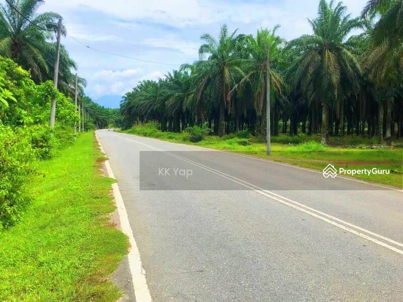 Untuk Dijual - Right Beside The Main Road - Agriculture Land For Sale