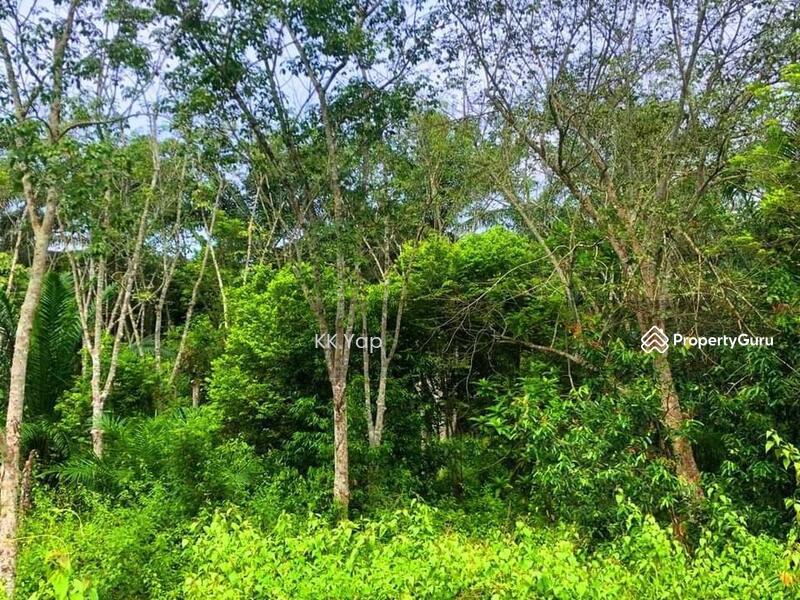Untuk Dijual - Right Beside The Main Road - Agriculture Land For Sale