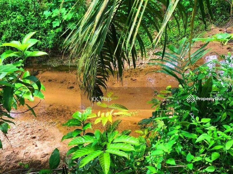 Untuk Dijual - Right Beside The Main Road - Agriculture Land For Sale