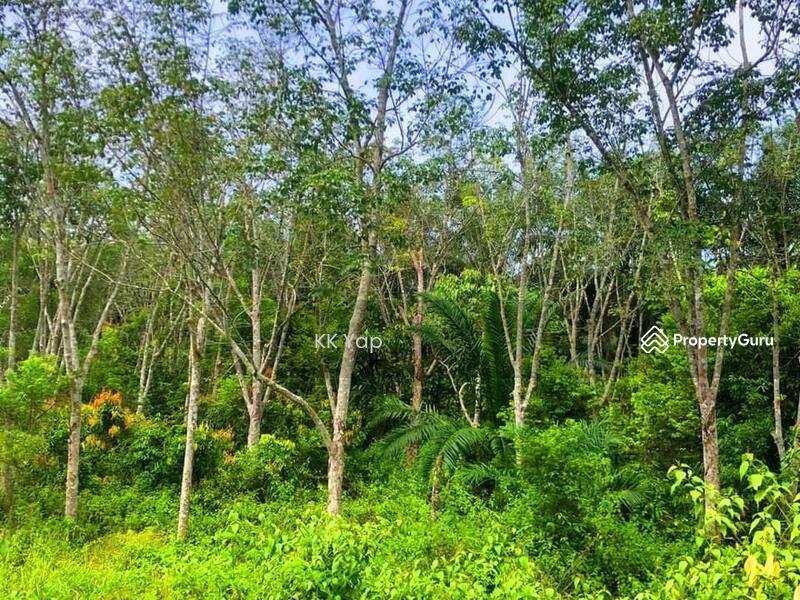 Untuk Dijual - Right Beside The Main Road - Agriculture Land For Sale