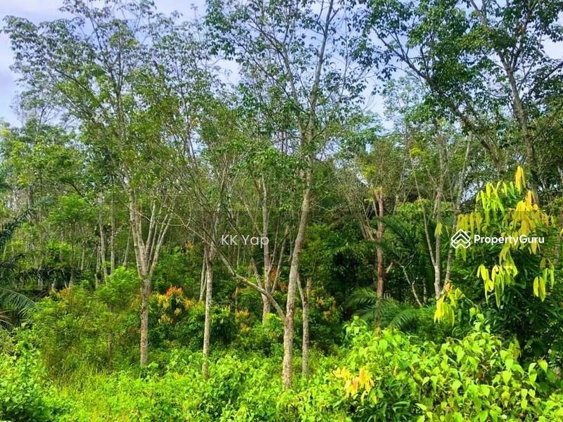 Untuk Dijual - Right Beside The Main Road - Agriculture Land For Sale