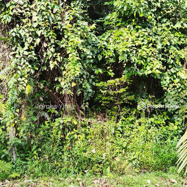 Site 1