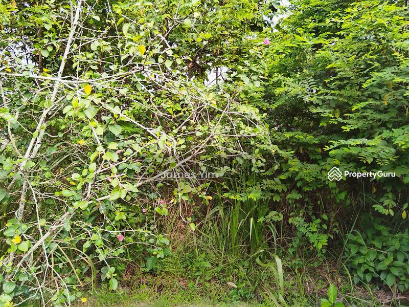 Site 3