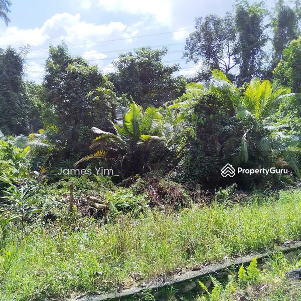 Site 4