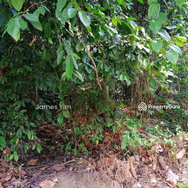 Site 5