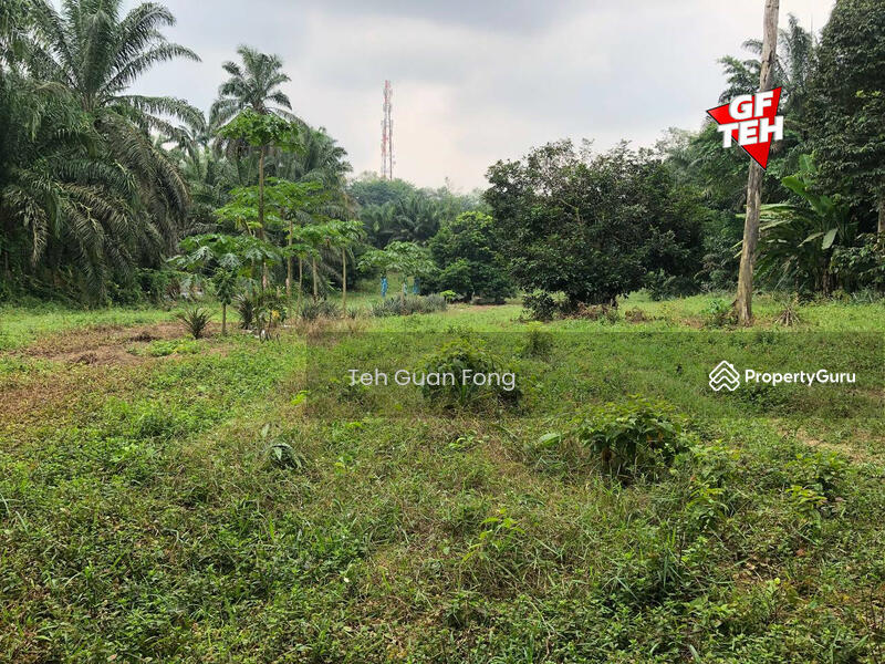 Tanah Pertanian untuk Dijual di Machang Bubok (Bukit Mertajam) - Teh Guan Fong - PropertyGuru.com.my