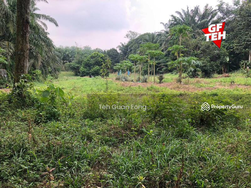 Tanah Pertanian untuk Dijual di Machang Bubok (Bukit Mertajam) - Teh Guan Fong - PropertyGuru.com.my