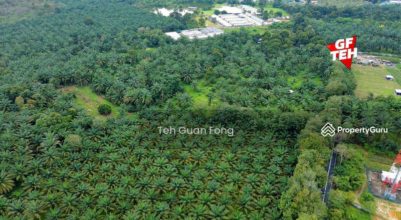 Tanah Pertanian untuk Dijual di Machang Bubok (Bukit Mertajam) - Teh Guan Fong - PropertyGuru.com.my