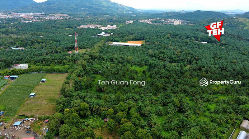 Tanah Pertanian untuk Dijual di Machang Bubok (Bukit Mertajam) - Teh Guan Fong - PropertyGuru.com.my