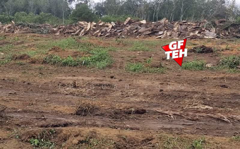 Agricultural Land for Sale in Junjong (Kedah) - Teh Guan Fong - Exterior - PropertyGuru.com.my